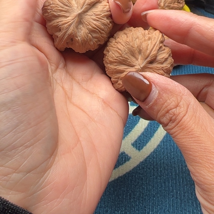 桃核吊坠文玩核桃战鼓