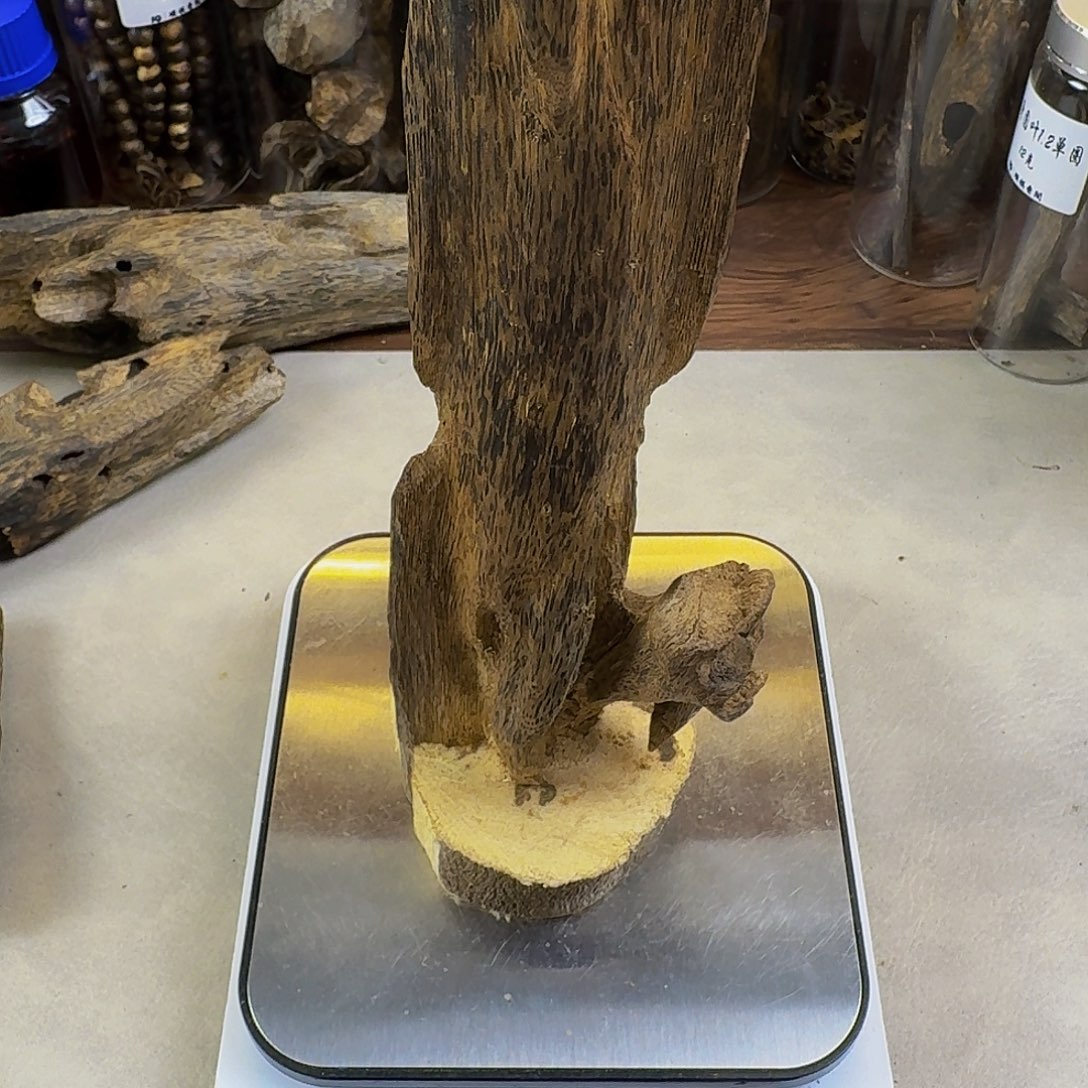 沉香沉香碎屑乌身圆叶虫漏香138克