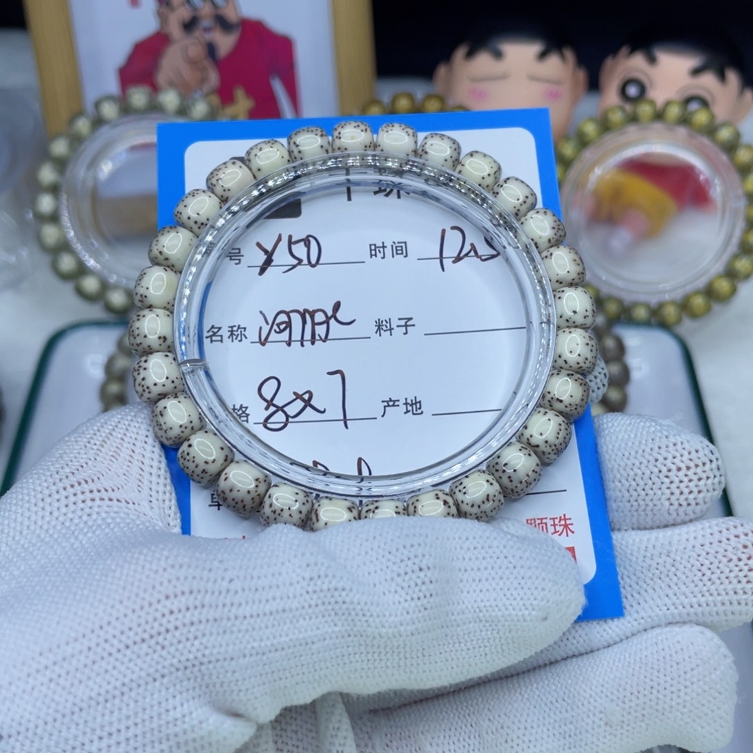 菩提籽类Y50河豚00