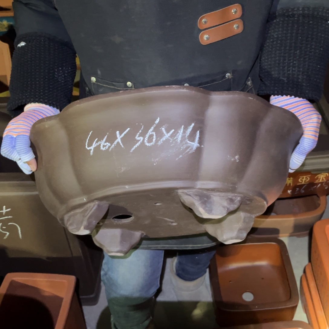 紫砂花盆盆景艺术