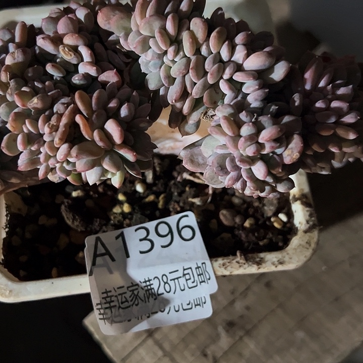 幸运的是我的朋友们都