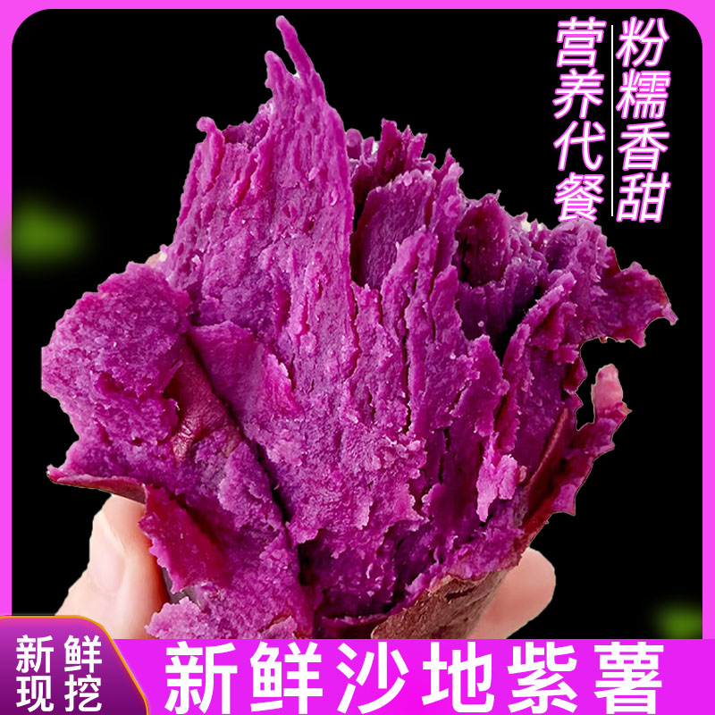 山东沙地紫罗兰紫薯软糯地瓜香甜粗粮宝宝辅食代餐孕妇早晚餐
