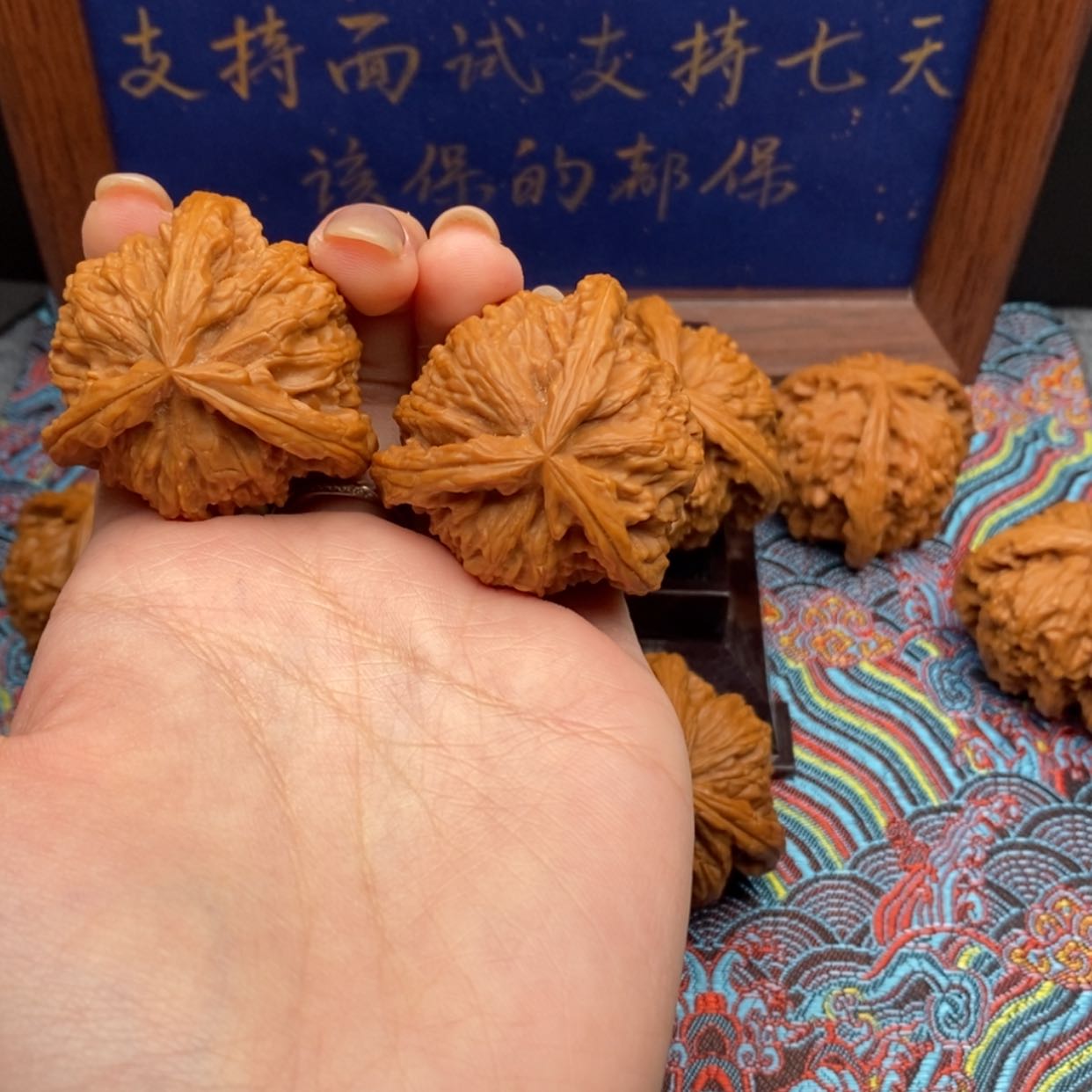 【闪购商品】二*白狮