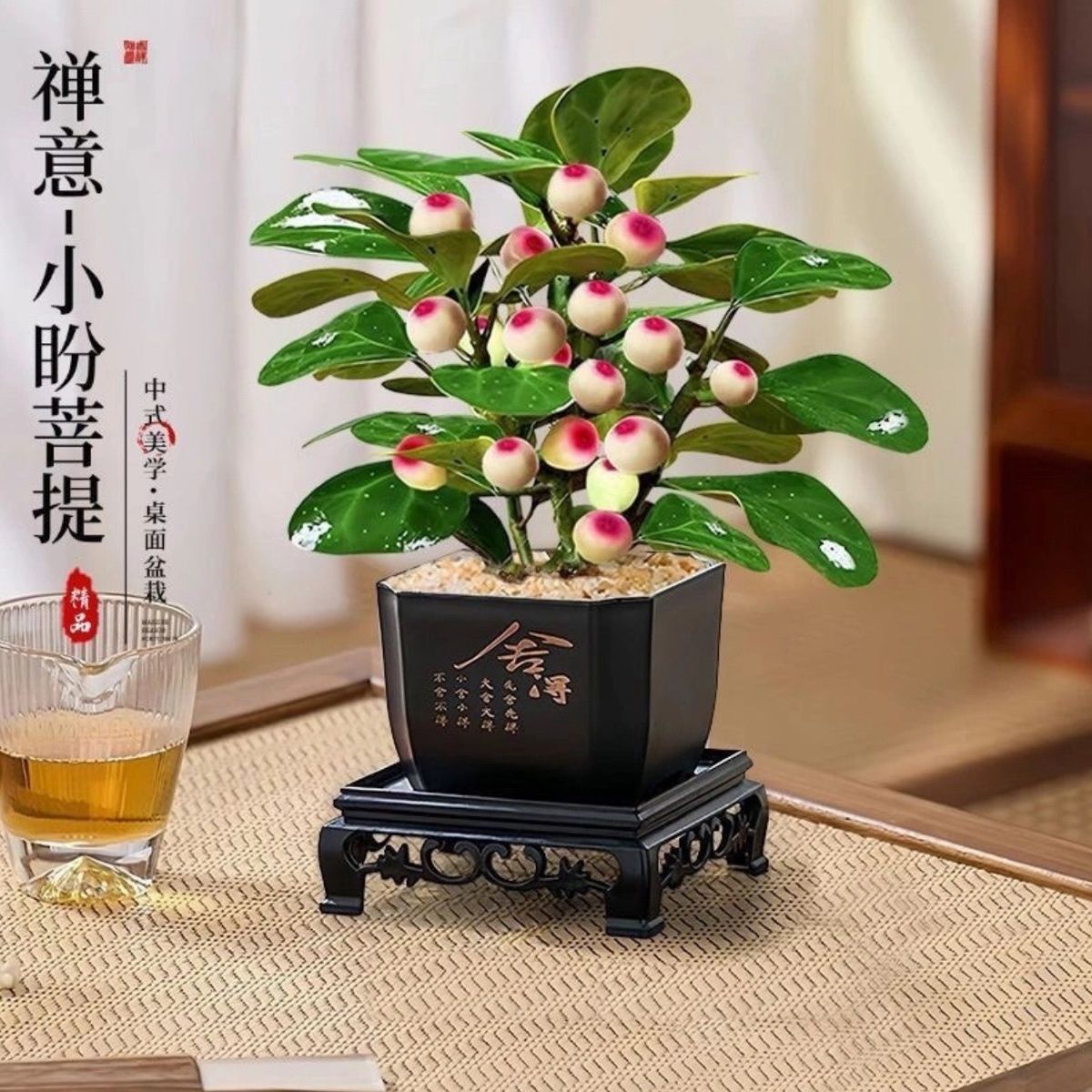 带果小盼菩提盆栽室内净化空气桌面盆景好养活绿植新中式植物