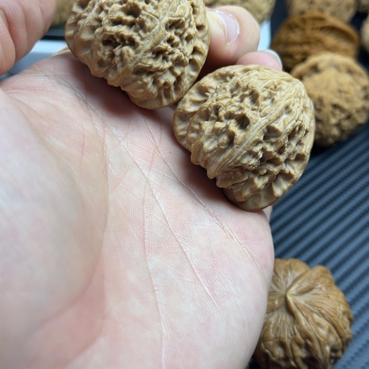 树***大把件文玩核桃37全品三角白