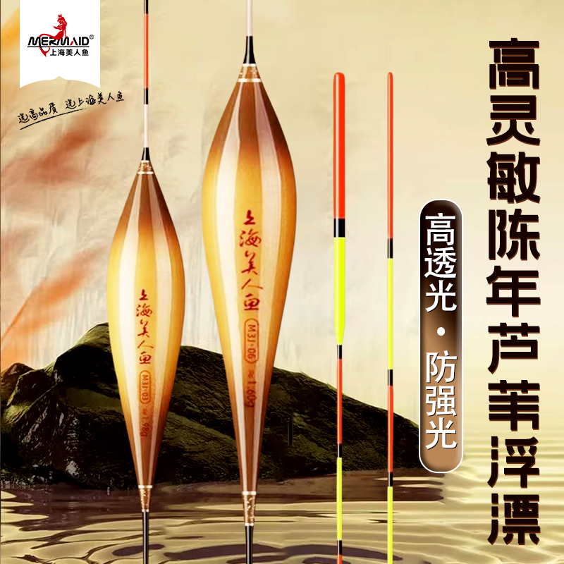 美人极芦苇浮漂高灵敏水晶尾加粗醒目抗走水黑坑鲫鲤罗飞浮漂鱼漂