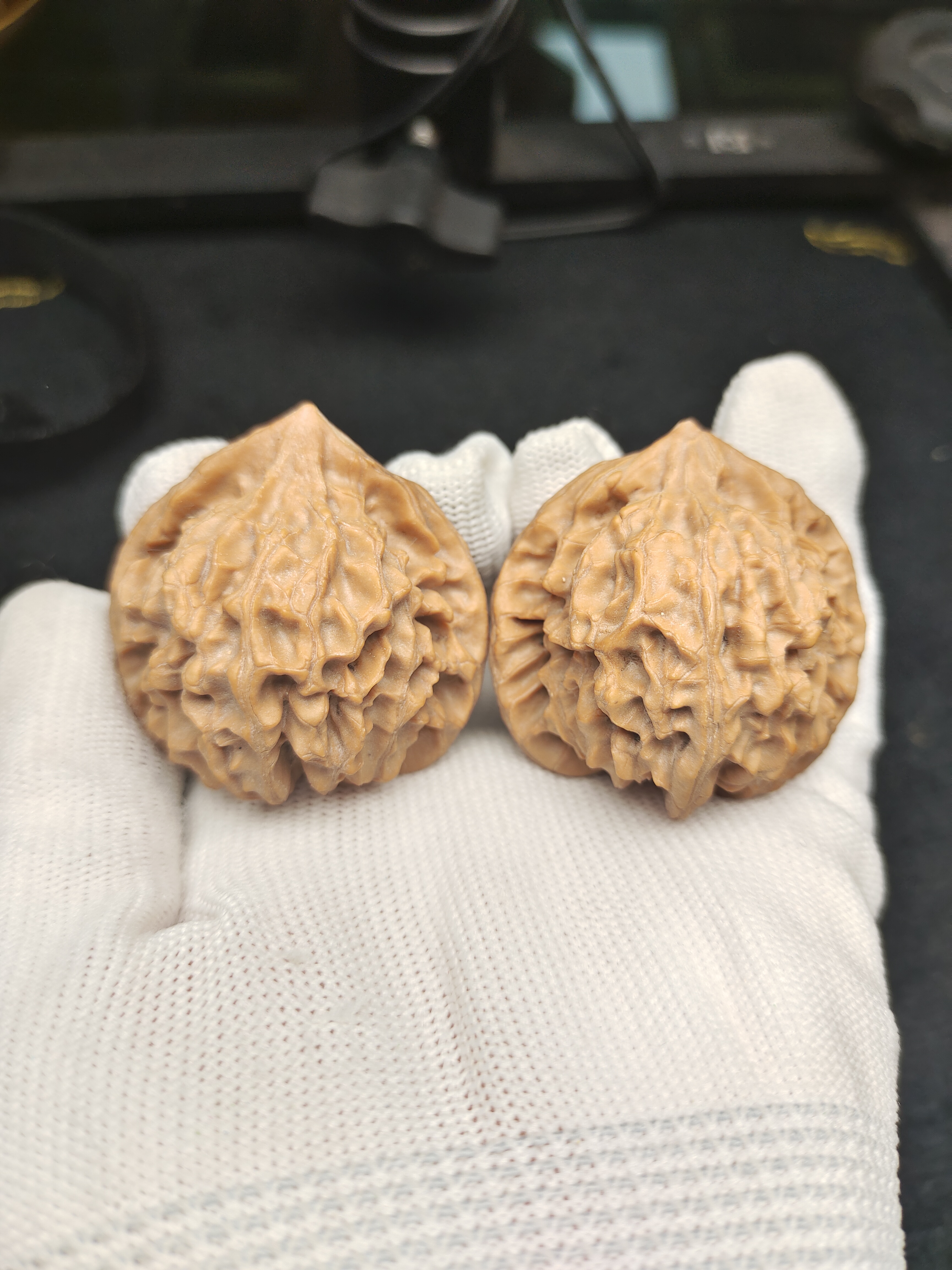 龙门涧全尺寸25年精对（全品）