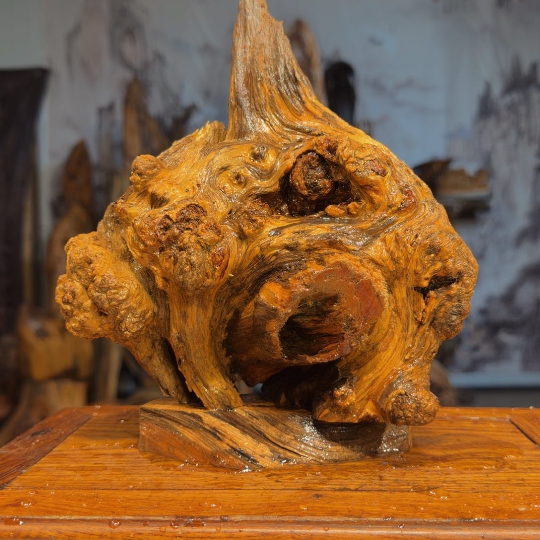 B***）木三丰琥珀木 天然摆件74