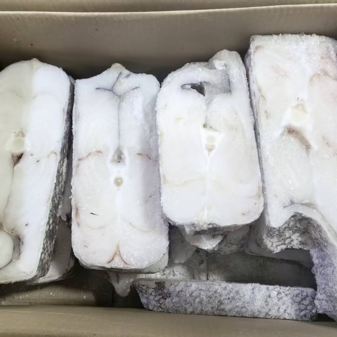 鳕鱼中段/俄罗斯进口鳕鱼/直切中段/大块新鲜海鲜水产/东三省包邮