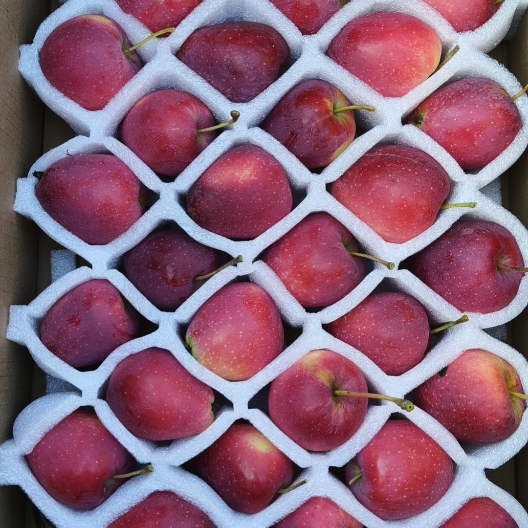 正宗东北新疆锦绣香妃海棠果鸡心果冰糖心小苹果新鲜水果