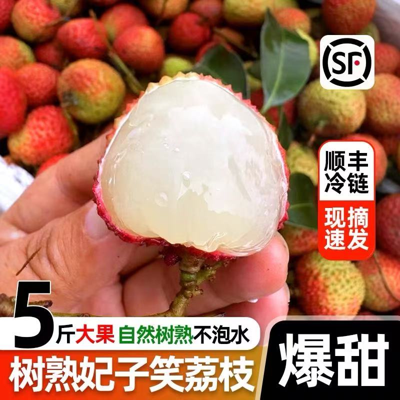 【顺丰冷链】海南妃子笑荔枝新鲜现摘水果孕妇正宗妃子笑B
