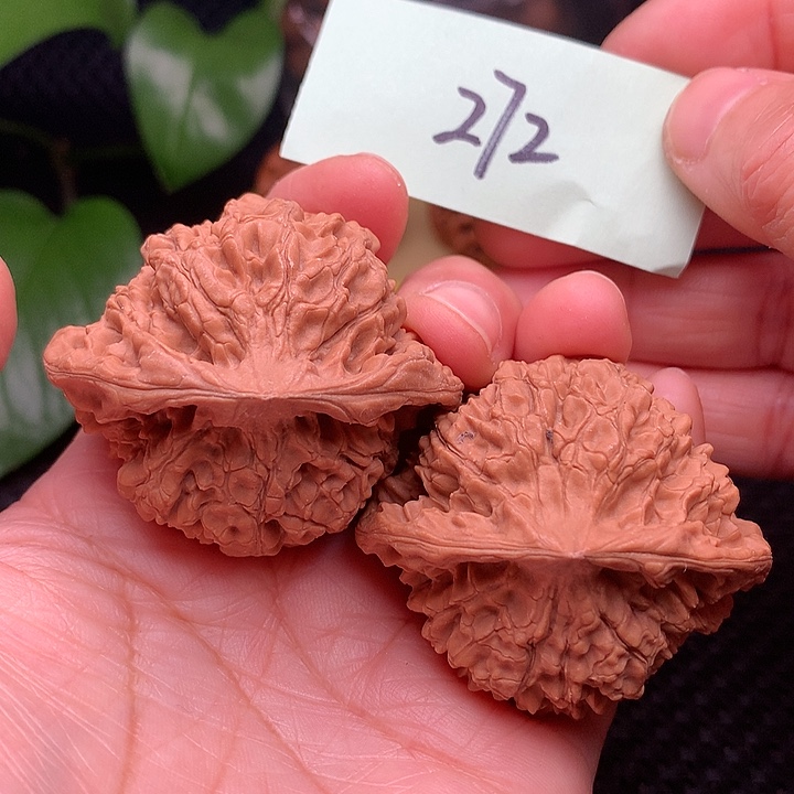 【闪购商品】把件文玩核桃48.5官帽272