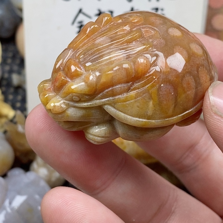 颈饰未镶嵌石英质玉