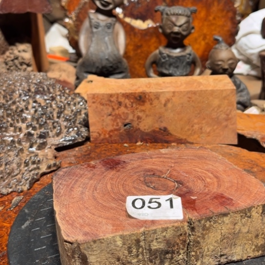 大果紫檀（缅甸花梨）