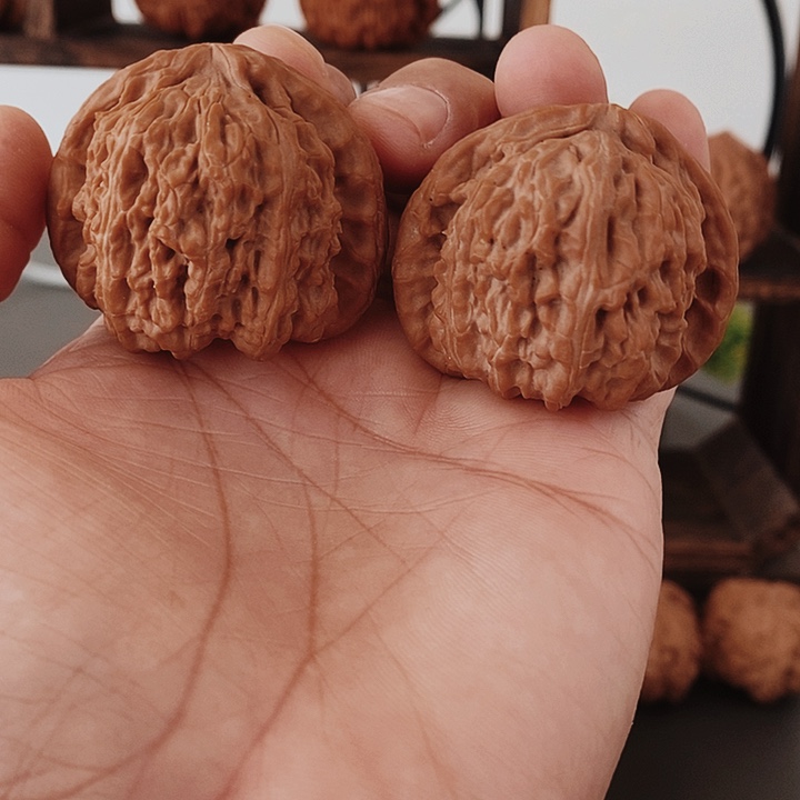 43白狮子红皮果骨质好