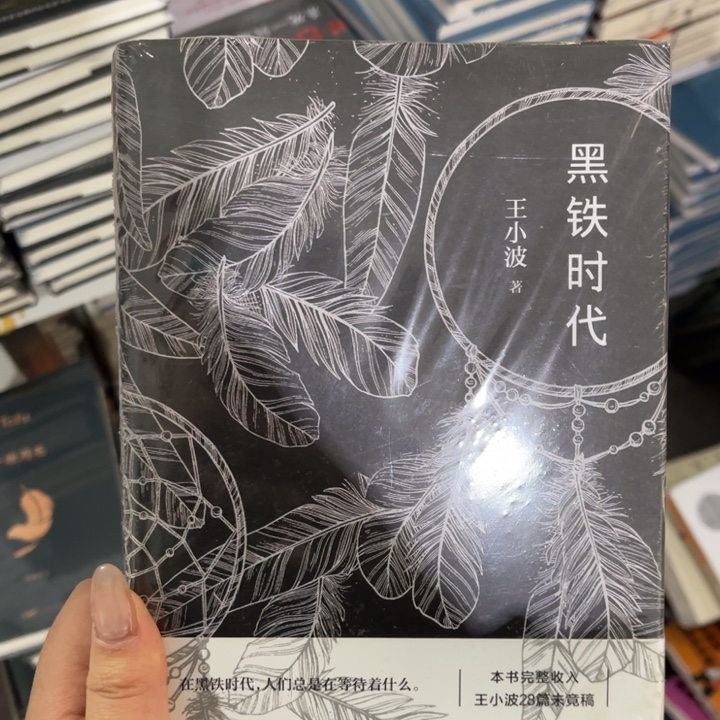 黑铁时代精装一个^_^