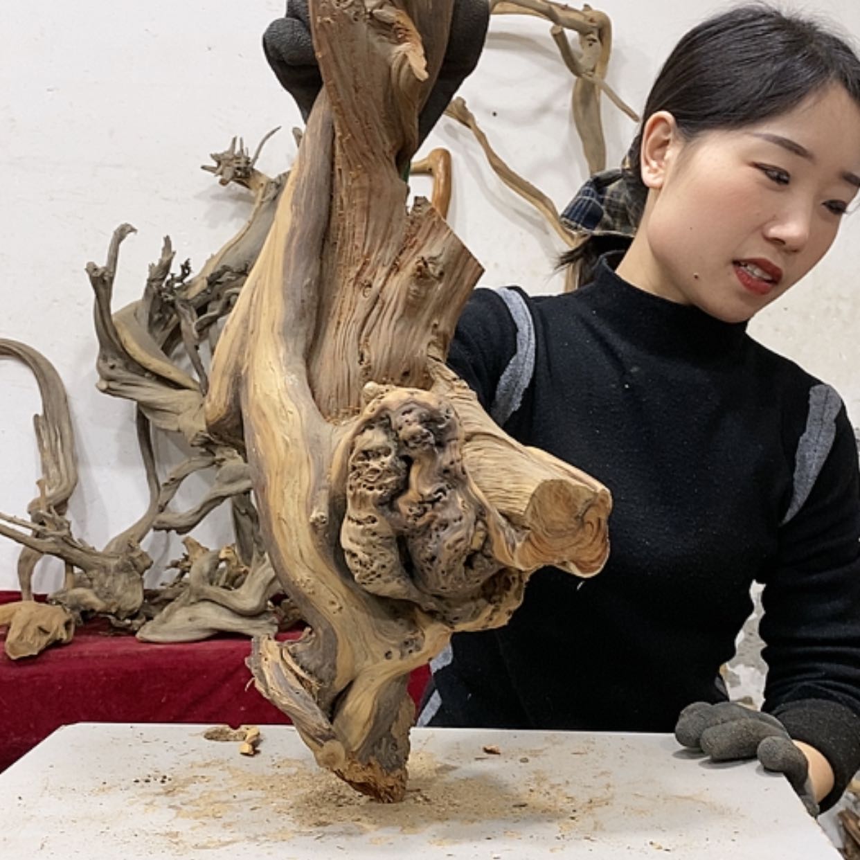 【闪购商品】柏木上****啦我们都是好孩子