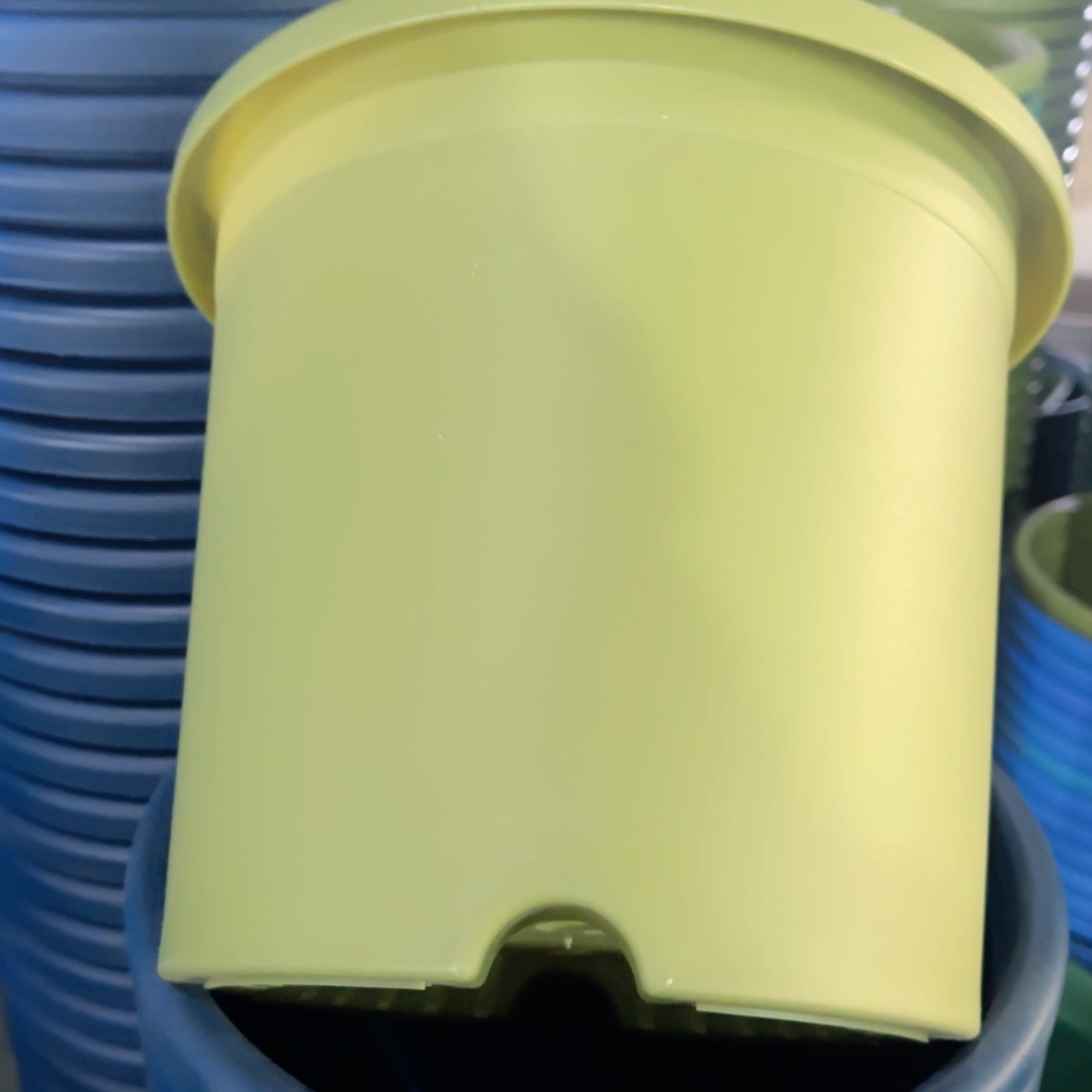 树脂特价5#无拖果绿6个