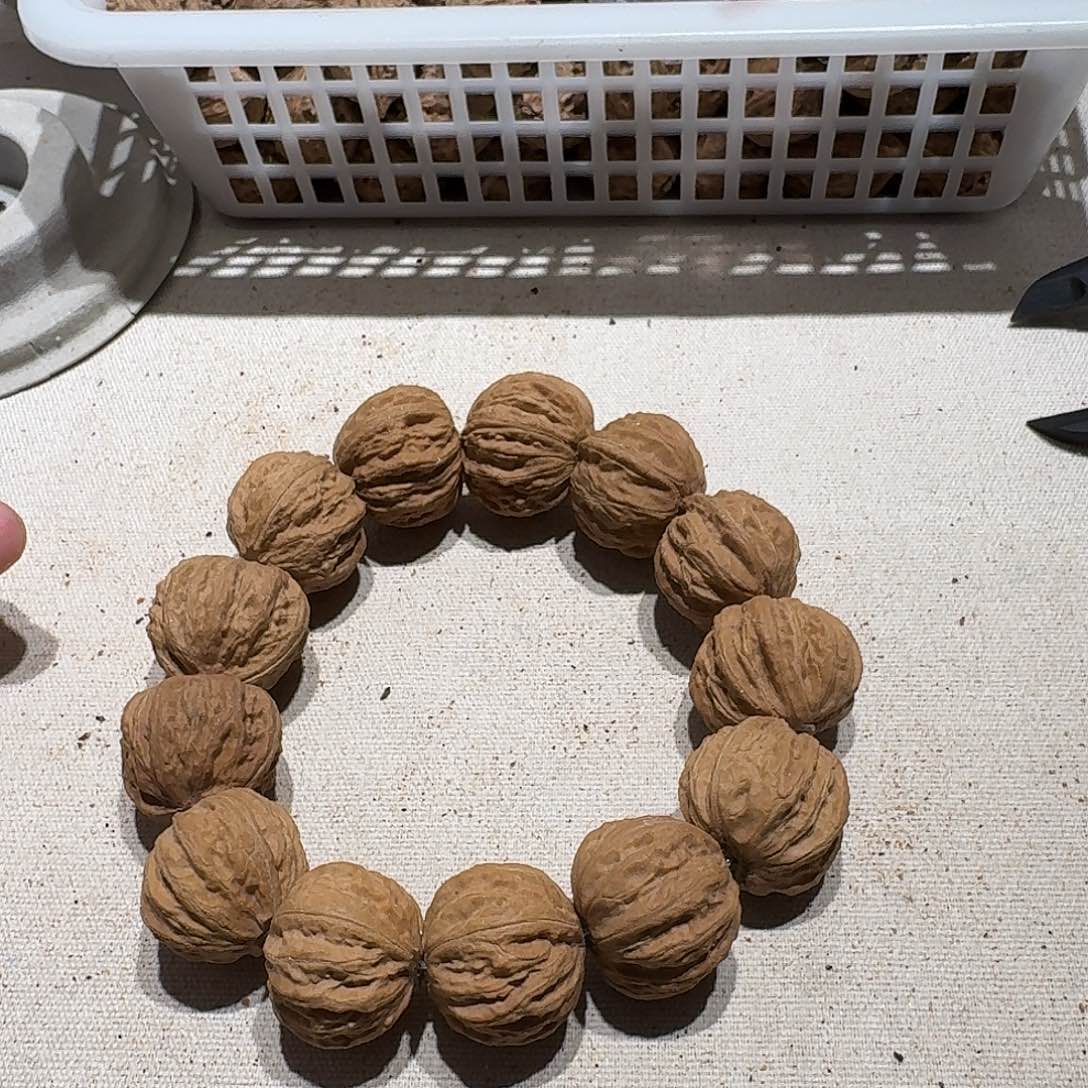 核桃手串/手链22号边27肚25高23