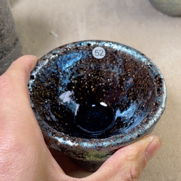 茶宠盏盏灯都是我的