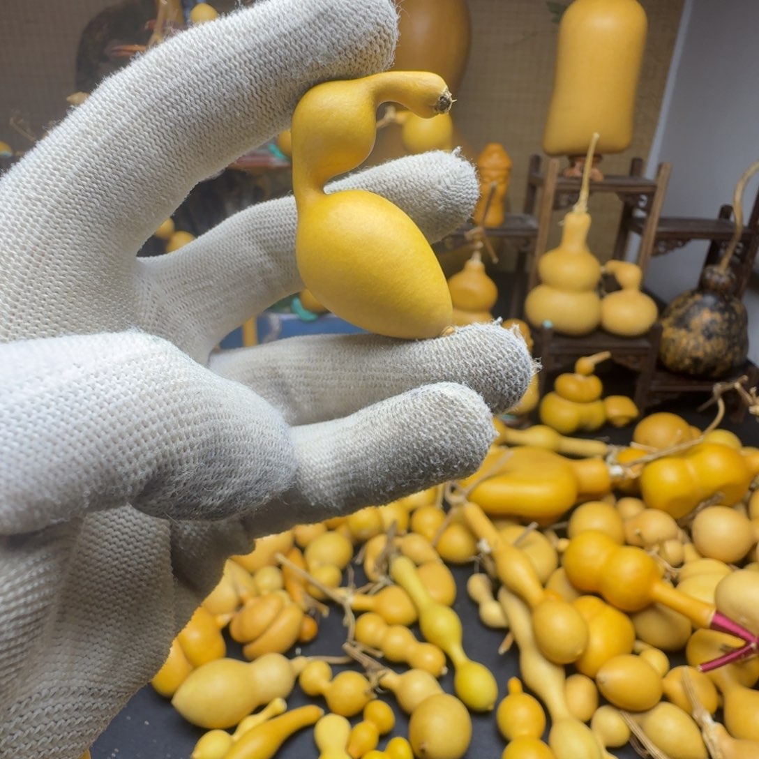 蚂蚁葫芦蚂蚁葫芦