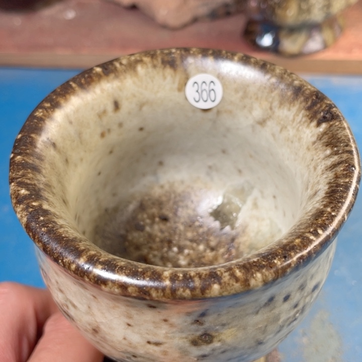 茶宠盏盏灯都是我的爱啊我