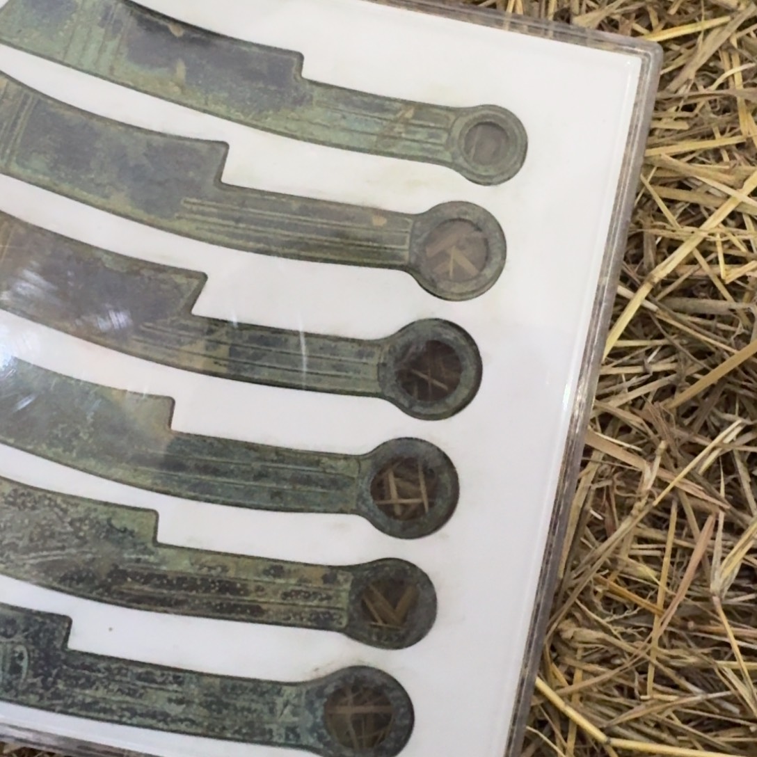 海派海派福利福利款