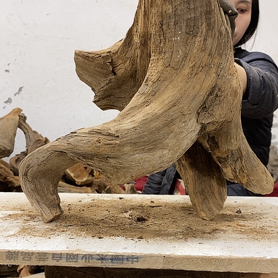 A***能柏木我们都是好孩子