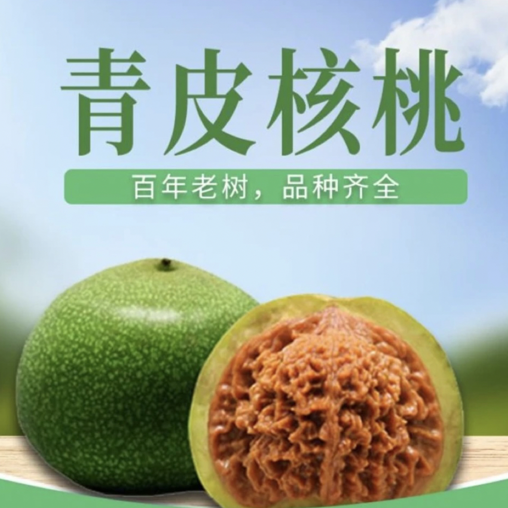 天地(二爷帽)青皮(拍一发四)