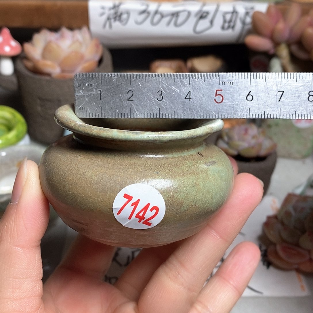 红陶拍5送一个小