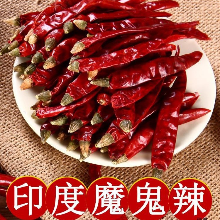 【新货】晾晒印度S17魔鬼椒特辣巨辣魔鬼椒小米椒朝天椒可切断磨粉 