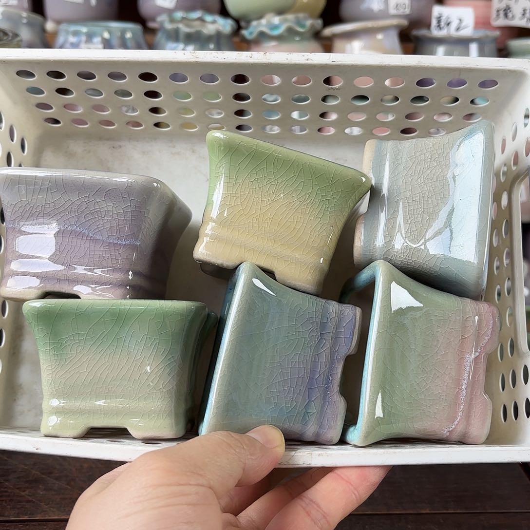 量货/口6.5-8高5深浅搭配发6个