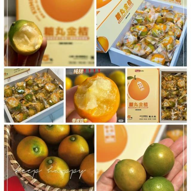 脆蜜金柑800克一件