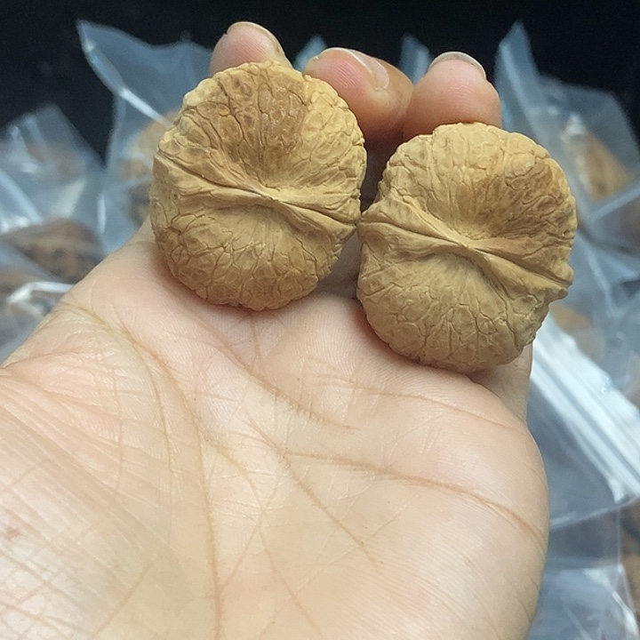 木质类云南铁核桃基地51