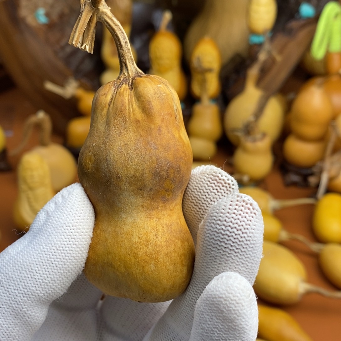 玫****桂林贱人领域咯哦哦