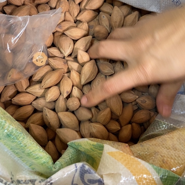 吊坠橄榄核楊*這個問題真的