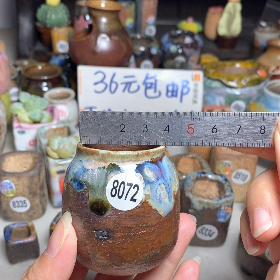 拍5送一个小礼物
