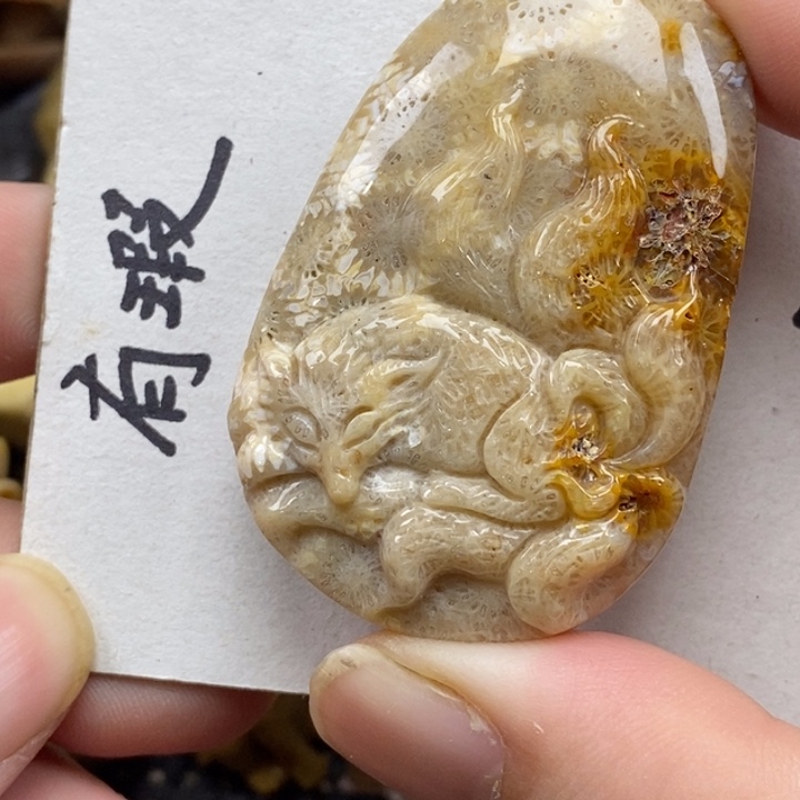 硅化珊瑚（珊瑚玉）未镶嵌颈饰