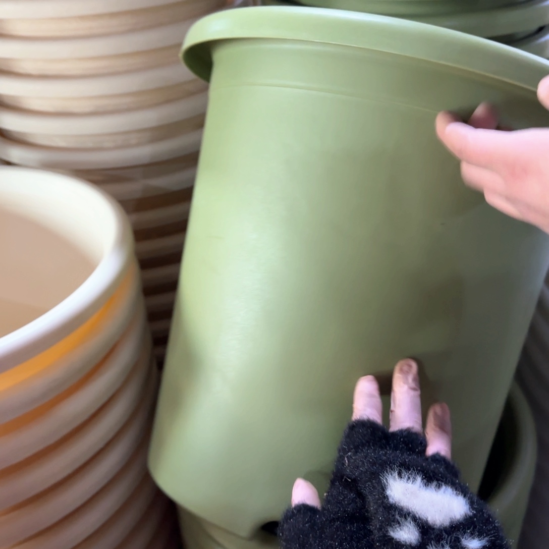 树脂特价7#无拖果绿6个