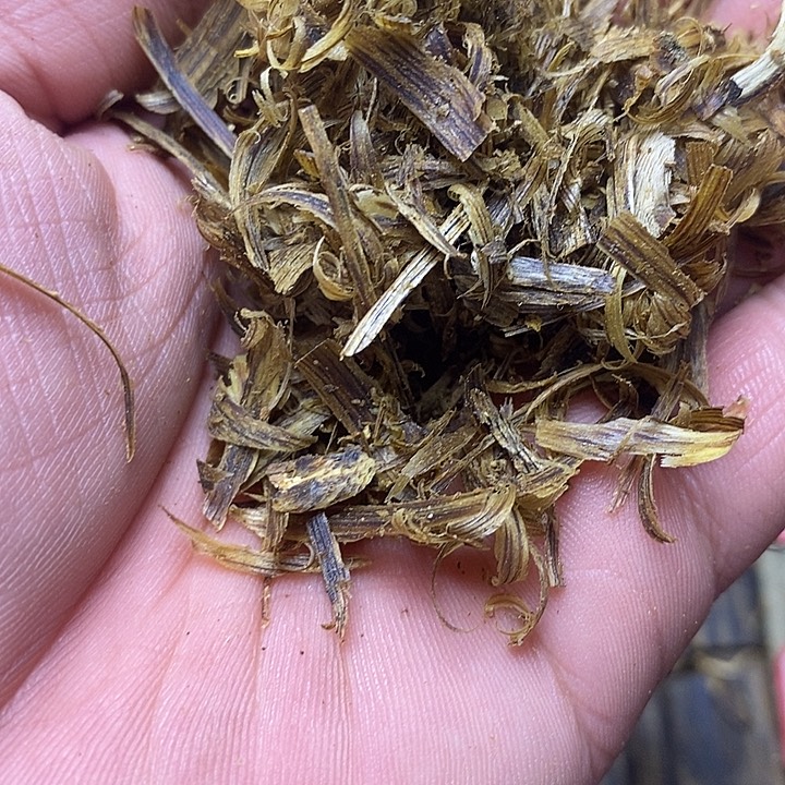 时***转沉香沉香碎屑原汁原味沉香