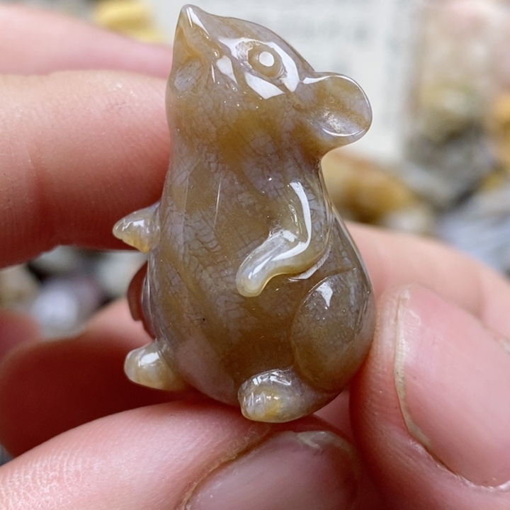颈饰未镶嵌硅化珊瑚（珊瑚玉）
