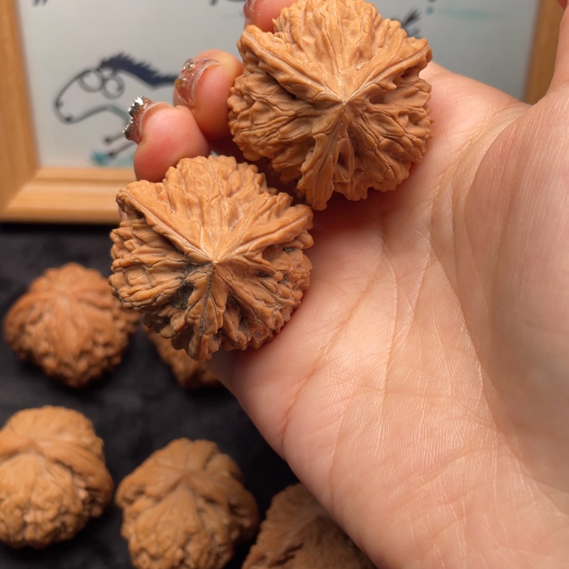 【闪购商品】文玩核桃把件习*38全品文山