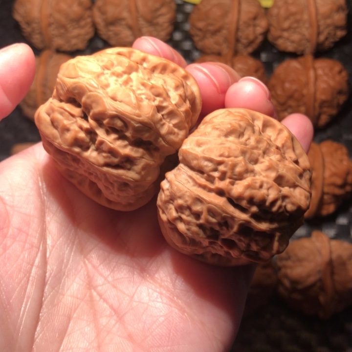 文玩核桃把件四开鱼籽纹41