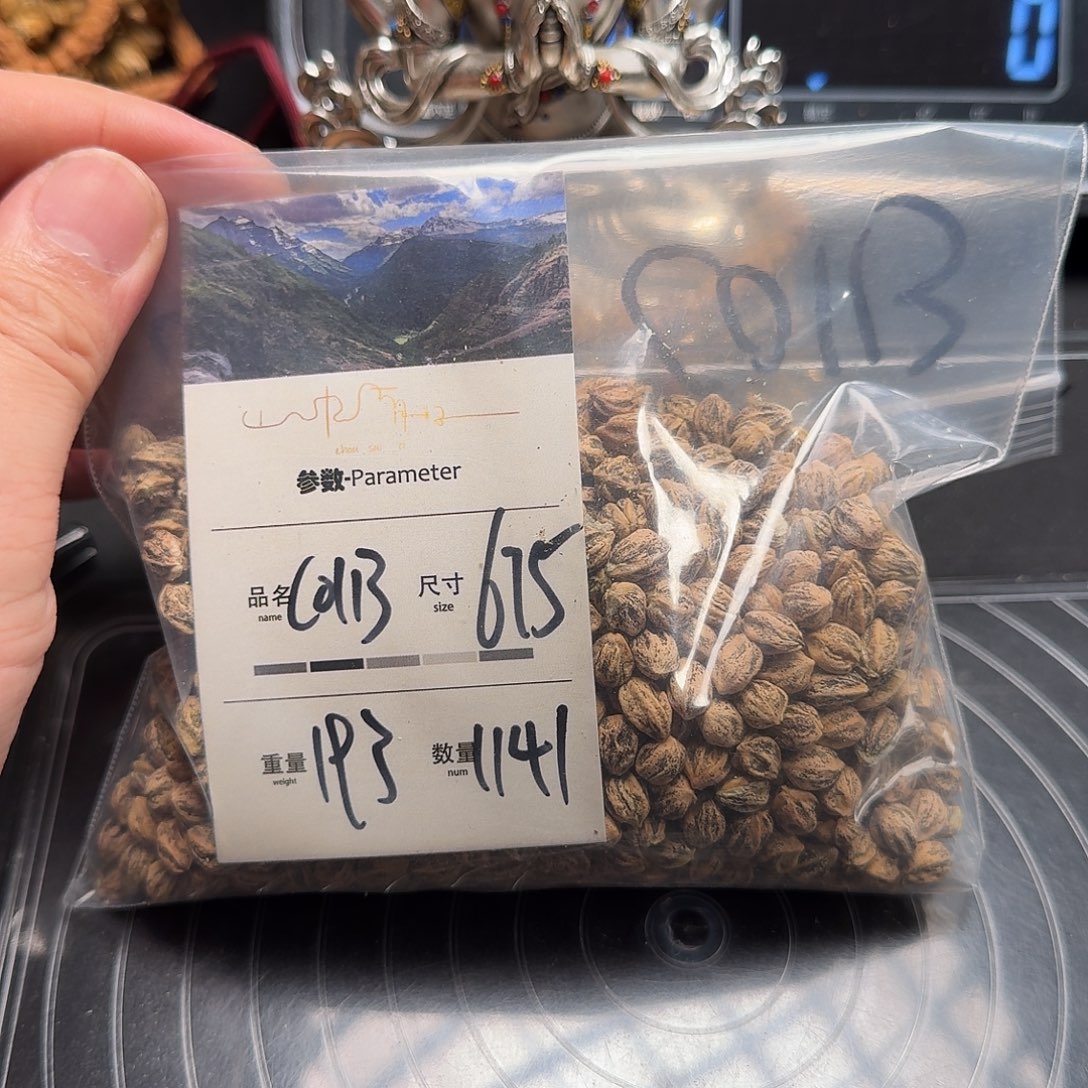 爱***贝柏香籽/百香籽吊坠