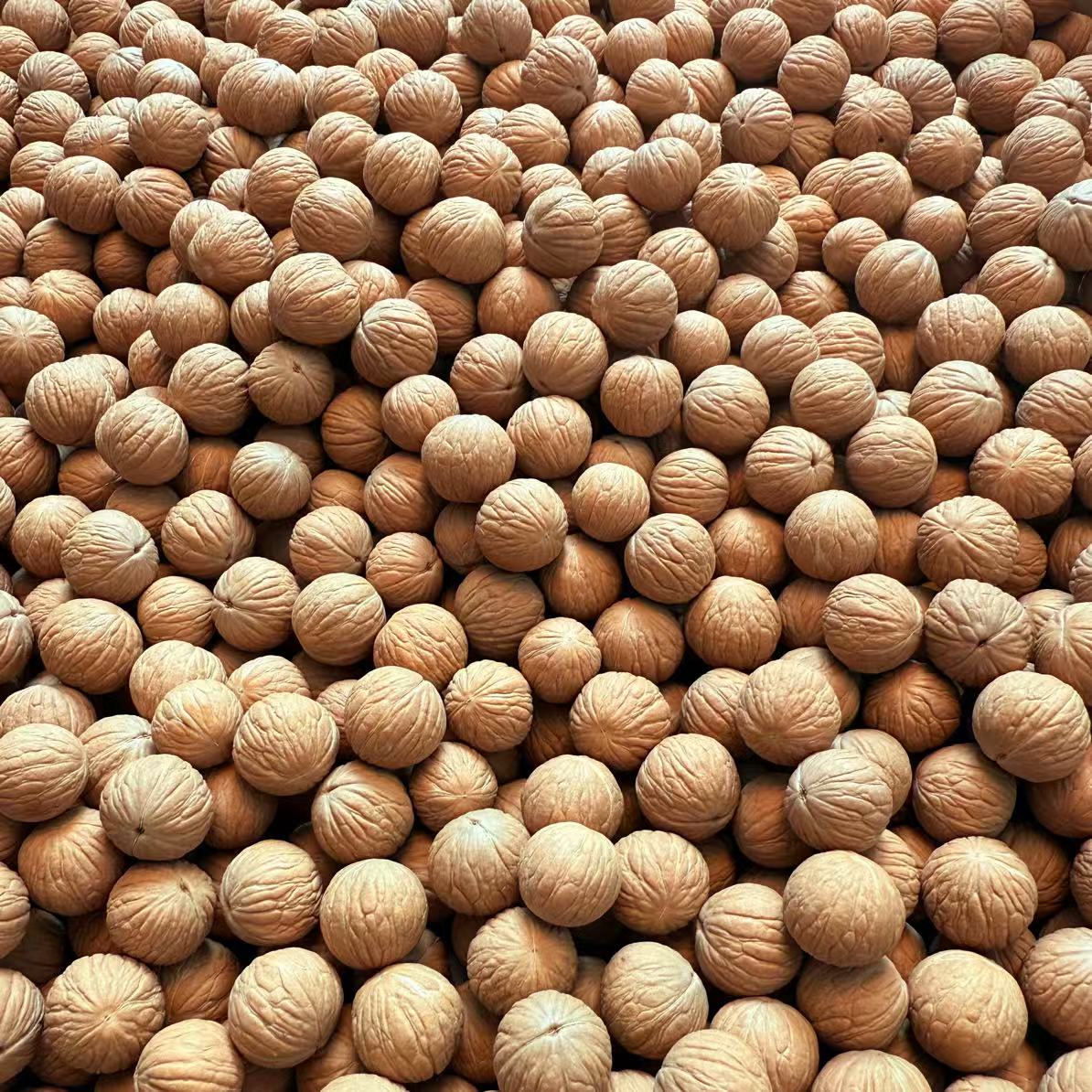 (未打孔）50颗13+ 猴头核桃凤羽原皮原色散籽 