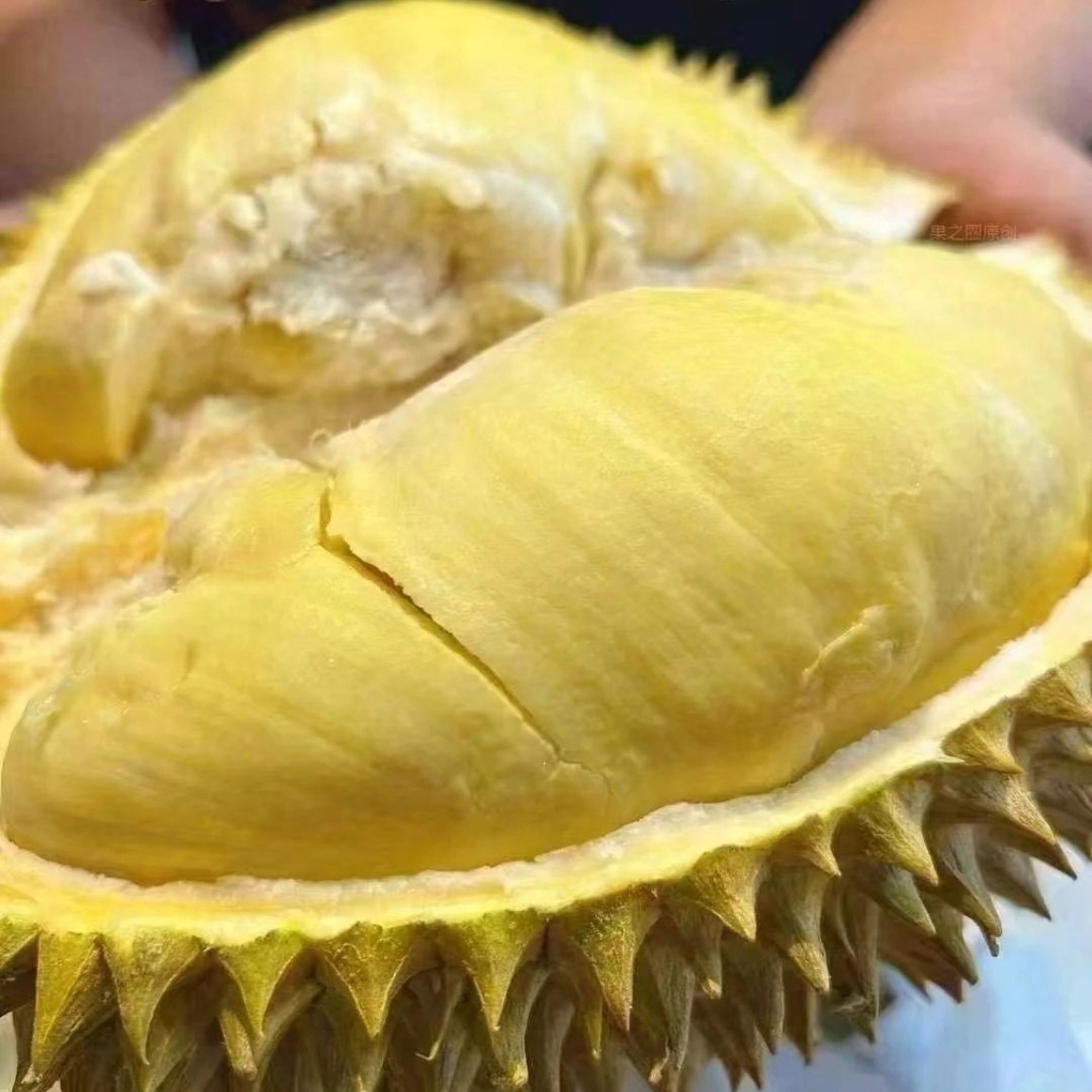 泰国金枕榴莲新鲜树熟榴莲皮薄核小4号链接1斤纯肉果金枕泰国东部金枕泰国东部