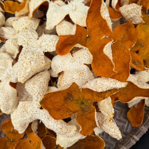 【2025年老树大红皮】浦北茶枝柑老树大红皮 （冬后皮）农户自产自销