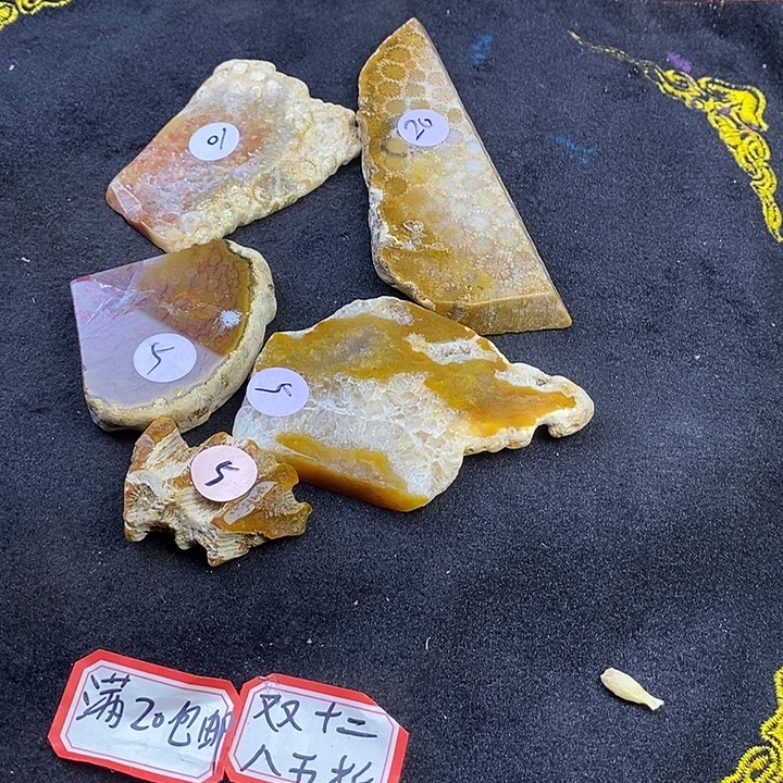 焱***.硅化玉未镶嵌颈饰
