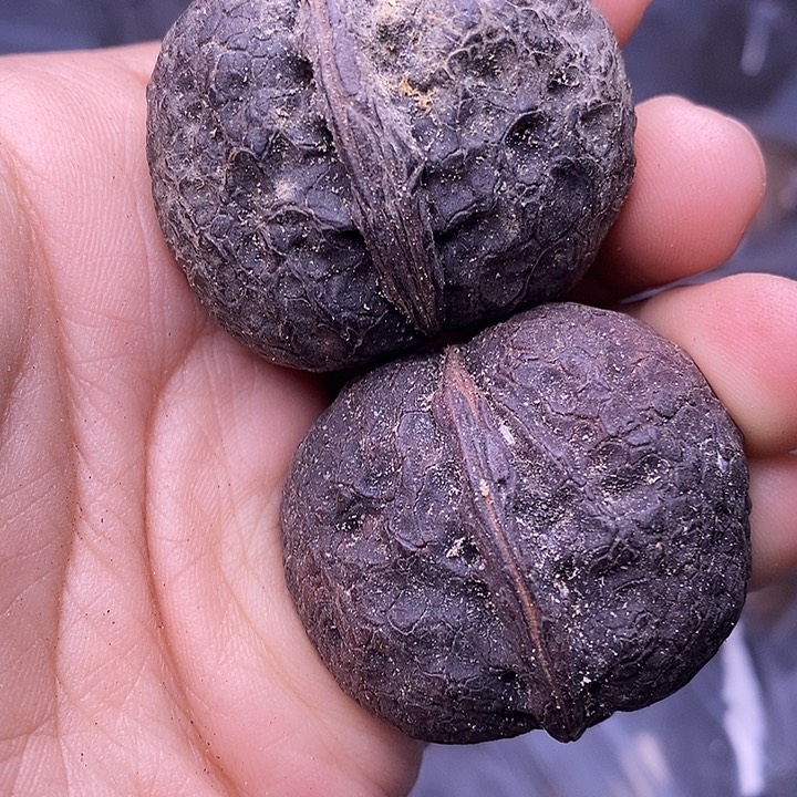 把件文玩核桃   160