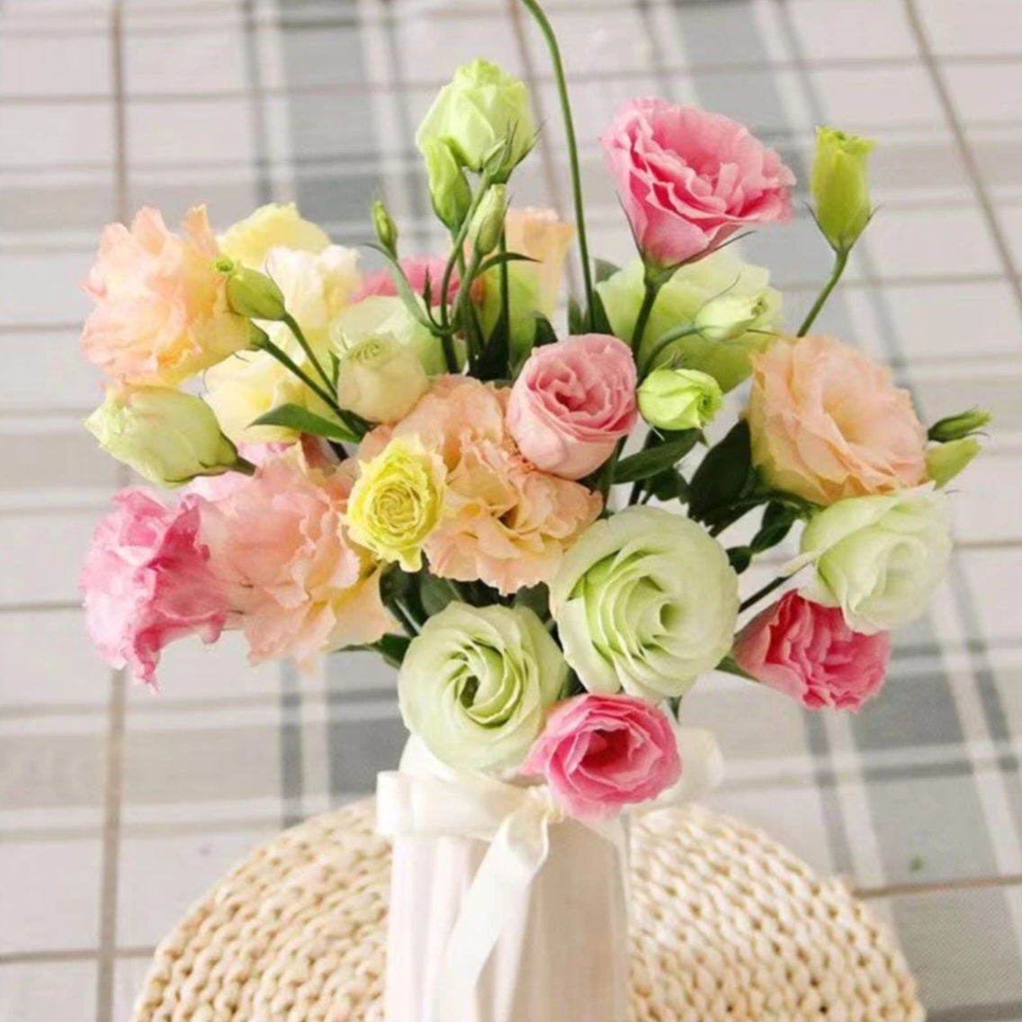 洋桔梗-鲜切花--云南基地新鲜现采现发-收到货醒花6-8小时